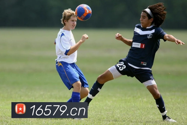 乐竞体育官方平台生态图